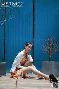丝慕写真 SM241 天天一元 茗茗《街拍女郎》[68P/215MB] - 2