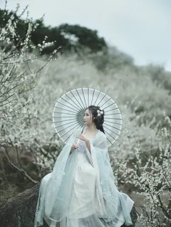 [YITUYU艺图语]2023.02.16 冬梅 轻舟[25+1P/329MB] - 4