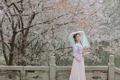 [YITUYU艺图语]2023.03.13 相见欢 知岫[25+1P/372MB] - 4