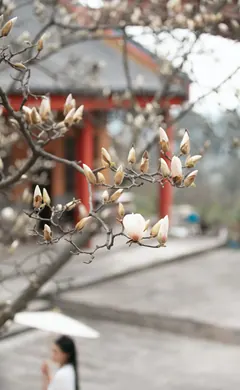 [YITUYU艺图语]2023.03.24 如是我闻 明月[45+1P/777MB] - 1