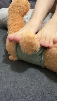 小羊蛋卷 089 小熊[1V/185M] - 3