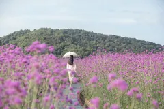 [YITUYU艺图语]2023.06.24 花田 小婷[20+1P/291MB] - 1