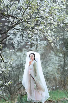 [YITUYU艺图语]2023.07.05 梨花意 薇薇[37+1P/756MB] - 3